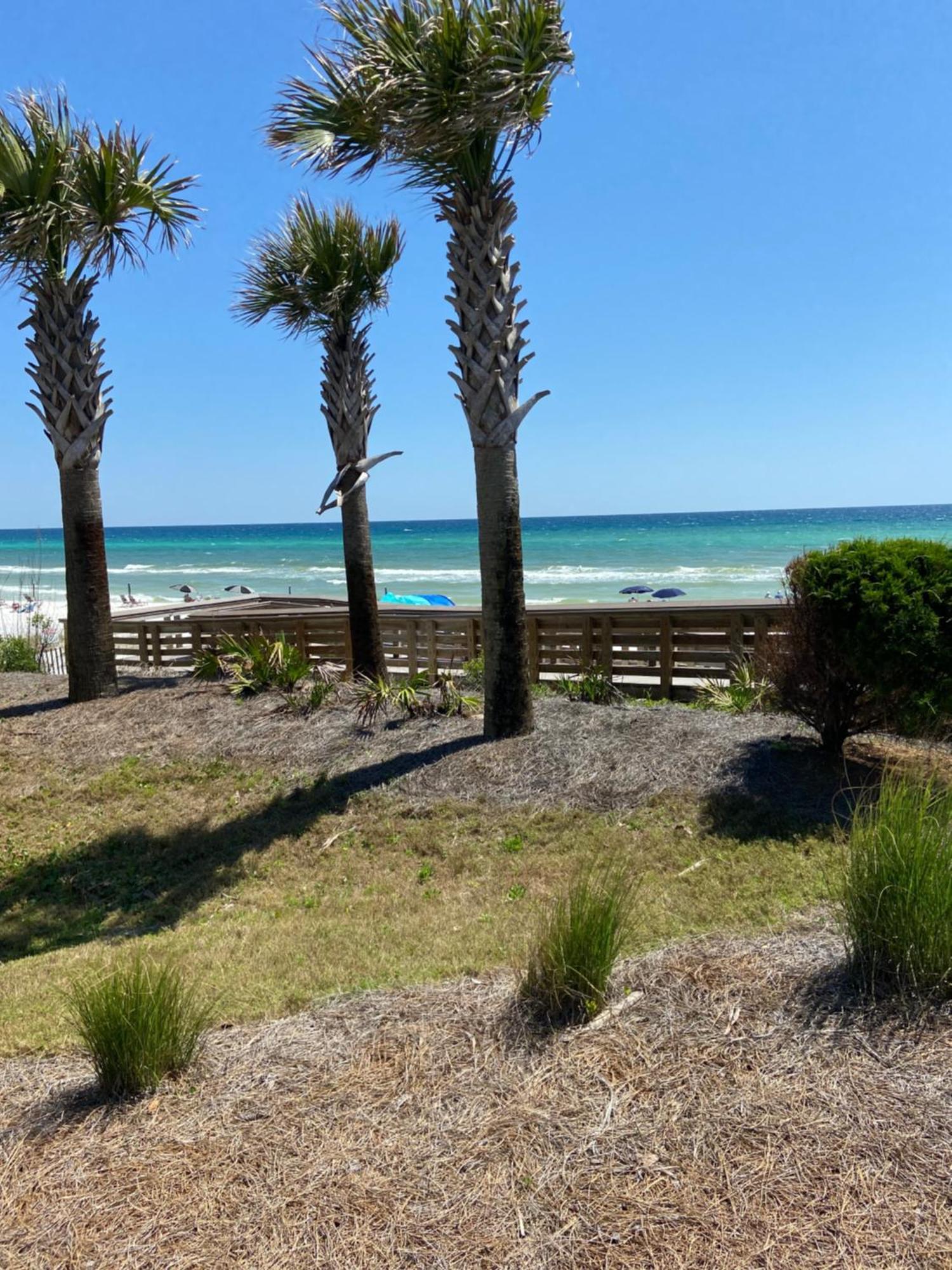 The Palms Of Destin 2114 Aparthotel Bagian luar foto